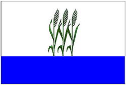 Flag of Kamyshin